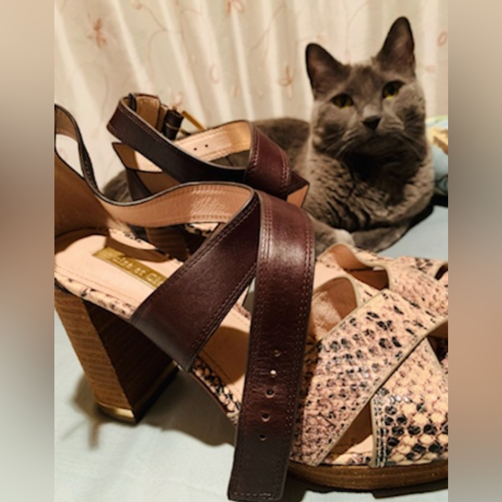 Brown Leather Exotic High Heels Brand New Rare Snake Style Shoes ,Size 7 And 1/2